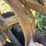 caterpillar-ten-image-46