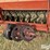 international-510-disc-drill-image-19