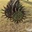 john-deere-400-3-pt-rotary-hoe-image-14