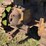 caterpillar-2-ton-image-26