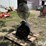 industrial-free-standing-&-squirrel-cage-fans-image-1