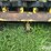 john-deere-2r-chopping-head-image-17