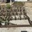 john-deere-3-pt-12'-spring-tooth-harrow-image-10