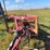 rowse-d9-image-8