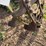 oliver-wheel-extensions-image-5