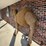 large-2-humped-stuffed-camel-image-14