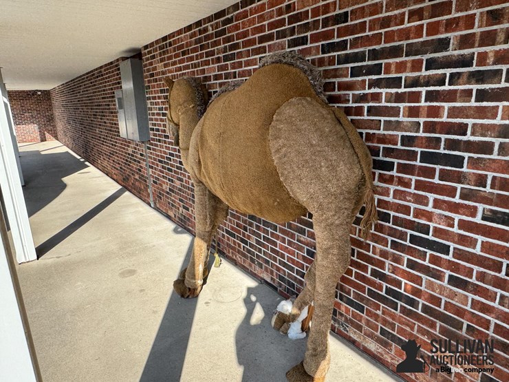 large-2-humped-stuffed-camel-image-14