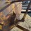 sb-manure-spreader-tank-trailer-image-12