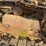 caterpillar-d2-image-14