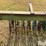 john-deere-400-3-pt-rotary-hoe-image-13