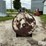 500-gal-fuel-barrel-image-6