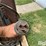 lincoln-fleet-arc-jr.-180-amp-welder-image-11