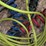 freight-truck-lot---see-description-image-8