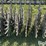 john-deere-415-15'-rotary-hoe-image-12