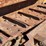 caterpillar-ten-image-29