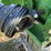 2015-john-deere-946-mower-conditioner-image-13