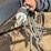 batco-1539-conveyor-image-6