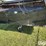 2019-lamar-dl831427-t/a-dump-trailer-image-13