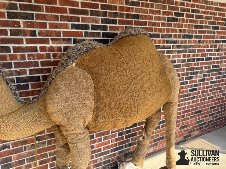 large-2-humped-stuffed-camel-image-11