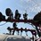 2023-case-ih-nutri-placer-2800-liquid-applicator-image-18