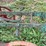 horse-drawn-plow-image-13