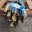 ~25--5'-steel-t-posts-image-7