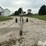speed-king-truck-auger-image-2