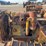 caterpillar-twenty-two-image-9