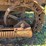 caterpillar-ten-image-26