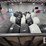2022-load-trail-image-9