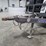 2022-load-trail-image-11