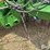 2020-john-deere-r15-15'-batwing-rotary-mower-image-10