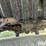 2003-chevrolet-silverado-2500-ls-4x4-extended-cab-pickup-image-12