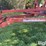 case-ih-4300fc-24'-vibra-shank-field-cultivator/harrow-image-10