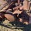 farmall-f-14-image-21