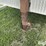 2001-barrett-t/a-gooseneck-aluminum-livestock-trailer-image-11