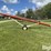 buhler-/-farm-king-c1031-pto-driven-auger-image-4