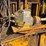 caterpillar-twenty-eight-image-16