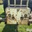 1968-oliver-1650-2wd-tractor-image-14