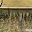 john-deere-400-3-pt-rotary-hoe-image-10
