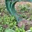 horse-drawn-plow-image-16