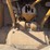 caterpillar-r2-image-36