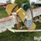 chantland-sr30-30'-electric-seed-belt-conveyor-image-18