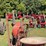 farmall-cub-image-20