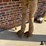 large-2-humped-stuffed-camel-image-10