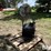 industrial-free-standing-&-squirrel-cage-fans-image-3