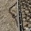 4’-x-8’-drag-harrow-image-9