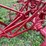 oliver-no.-21-2-way-plow-image-23