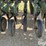 2005-great-plains-3s-4000hd-4810-double-disc-drill-image-20