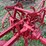 oliver-no.-21-2-way-plow-image-13